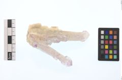 Foto von Quarz (Amethyst) (NHMW-MIN-Ao961)